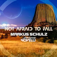 Markus Schulz — Not Afraid To Fall (The Wlt Remix) Ft Christina Novelli — обложка